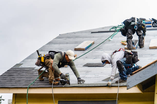 Professional Roofing technician working in New Milford, IL